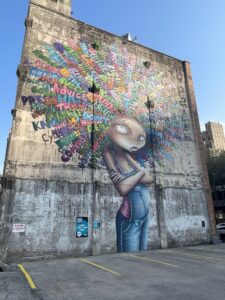 Houston street art tour