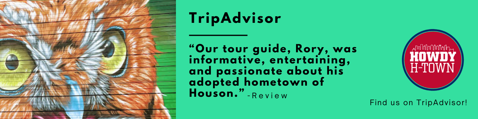 HTX Website Design Graphic for howdy h-town trip advisor page